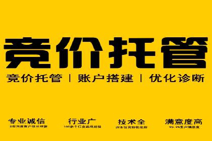 SEM竞价代运营公司案例详解：如何制定有效的竞价策略